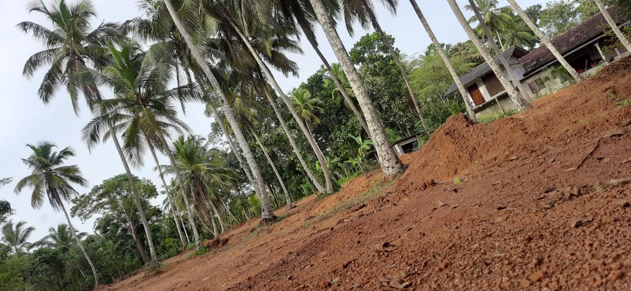 Residential Land for Sale in Veyangoda