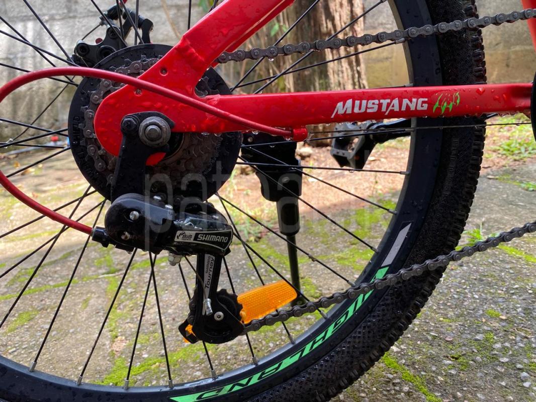 Advertisement image 4