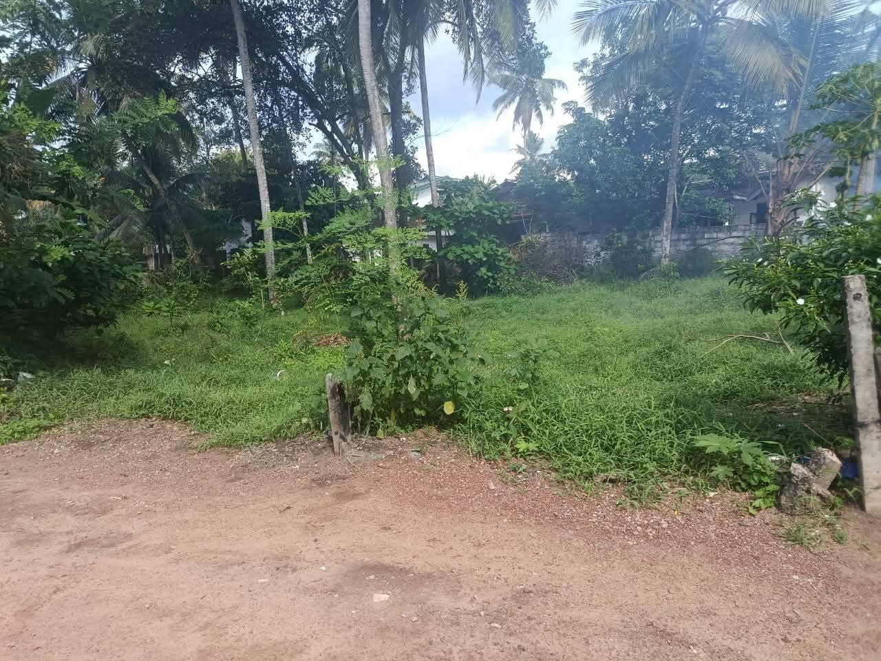 Agricultural Land for Sale in Kadawatha