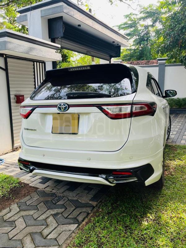 Advertisement image 2