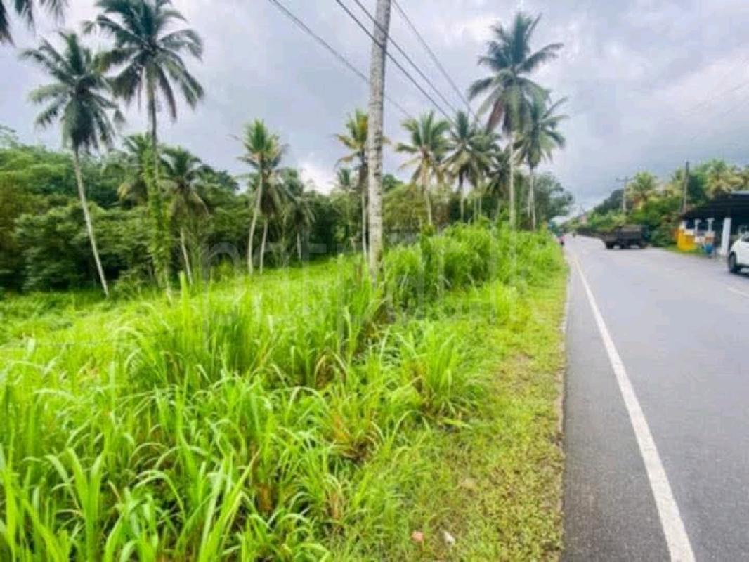 Agricultural Land for Sale in Padukka ads-image-1