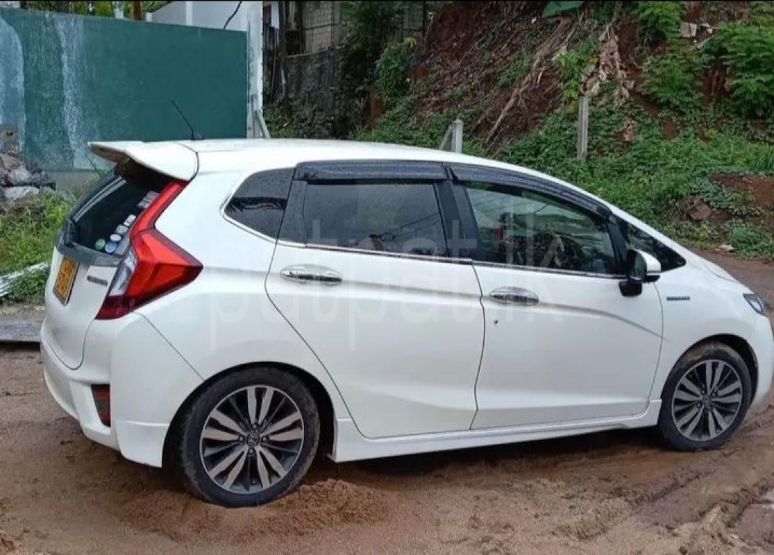 Advertisement image 3