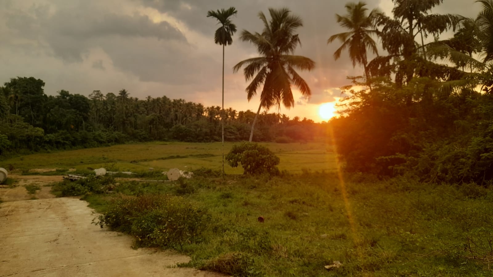 Agricultural Land for Sale in Dompe