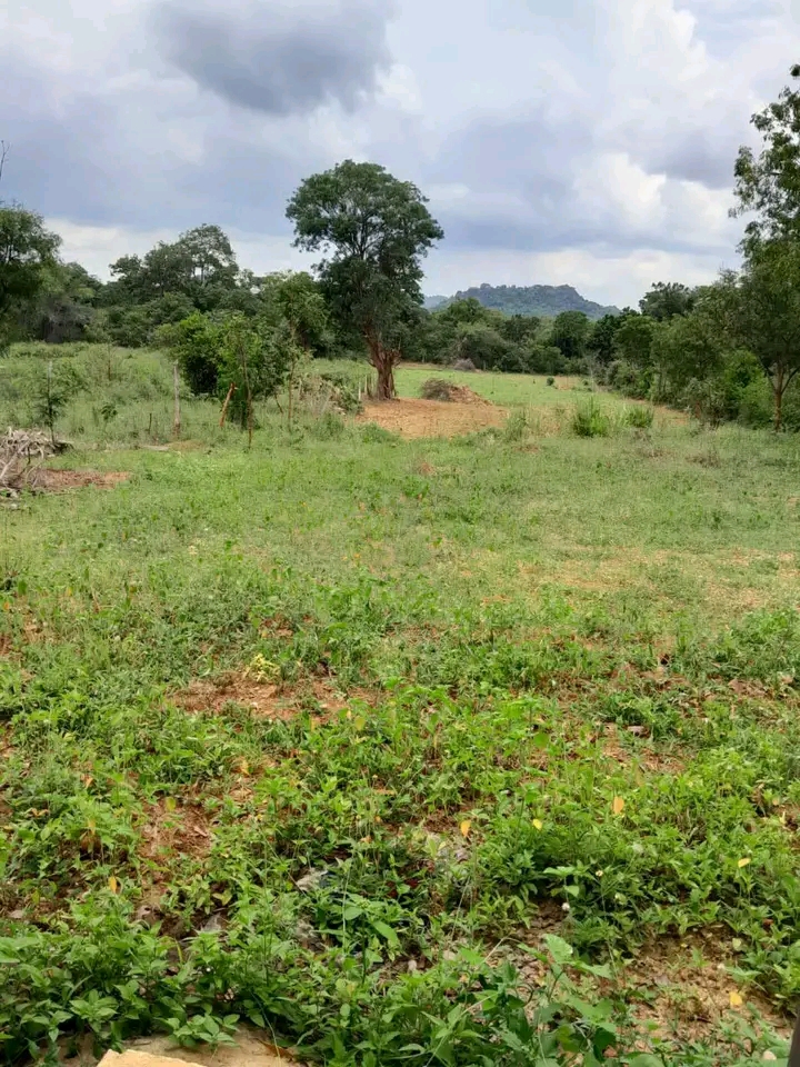 Commercial Land for Sale in Kataragama