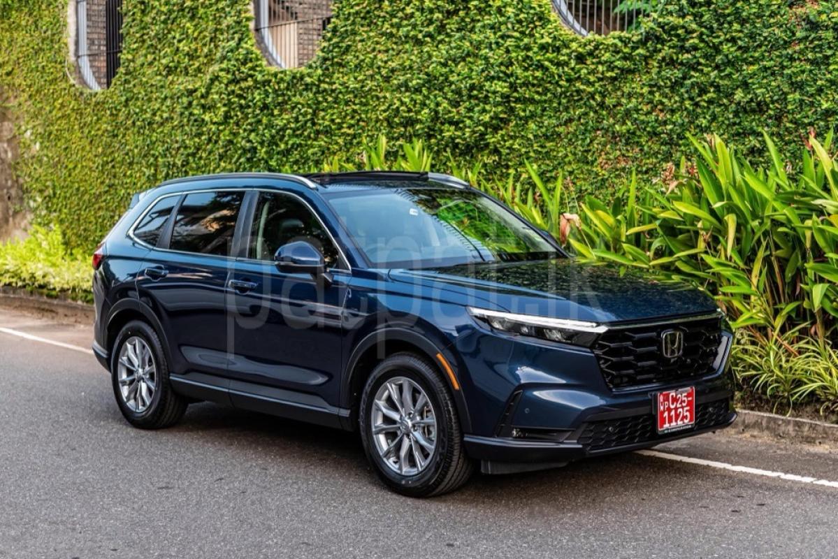 Advertisement image 5