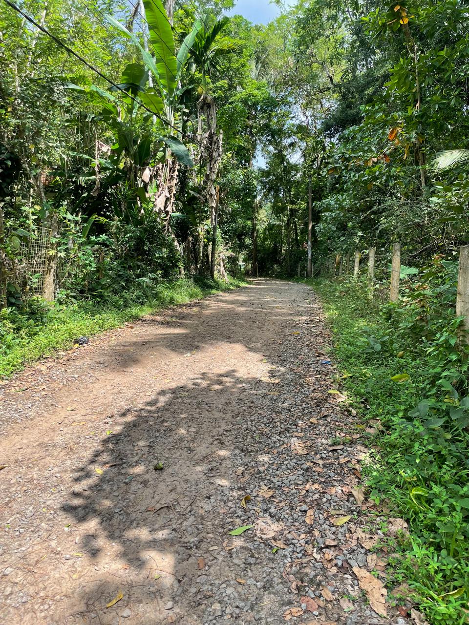 Agricultural Land for Sale in Yatiyana