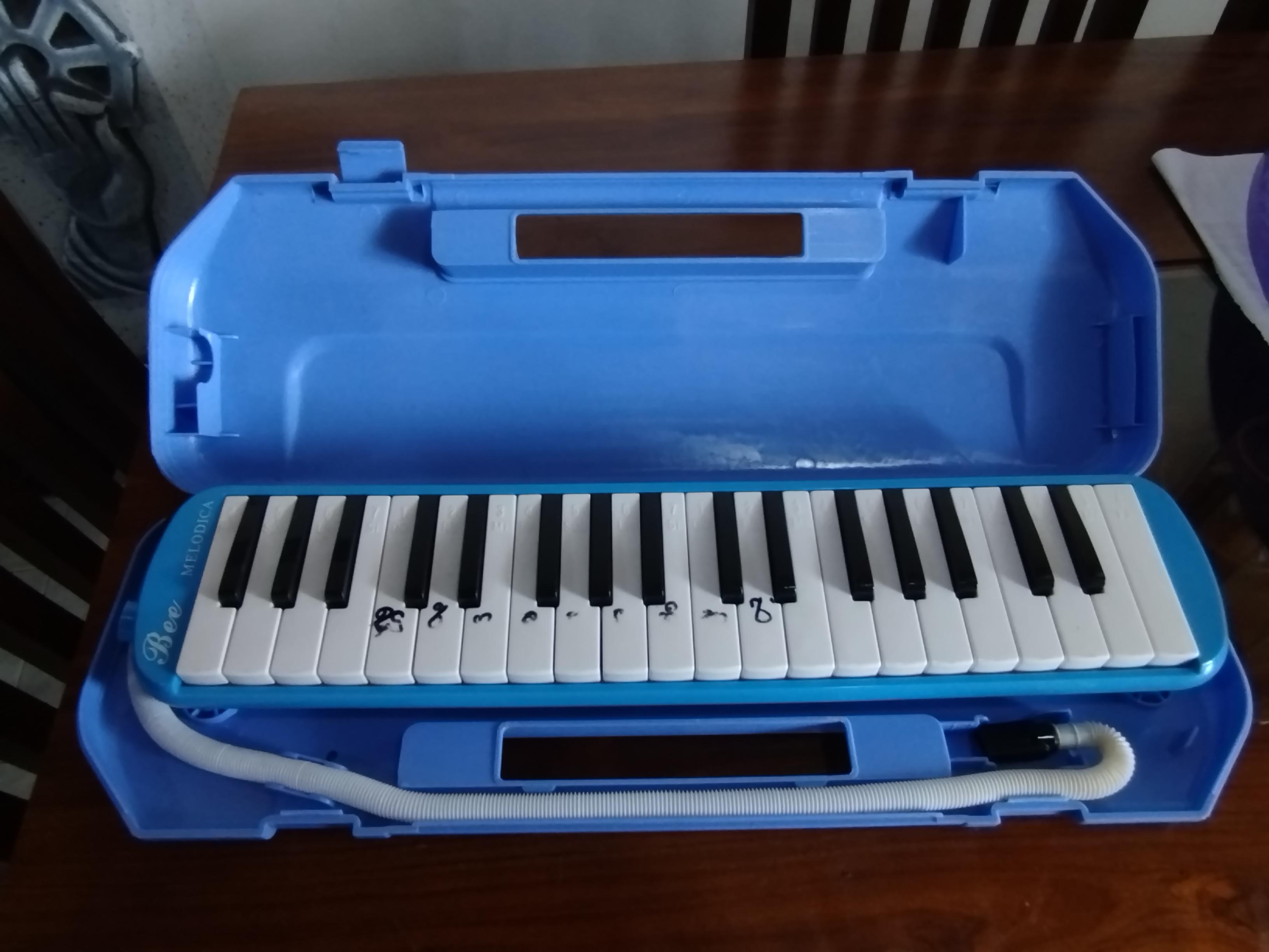 Melodica