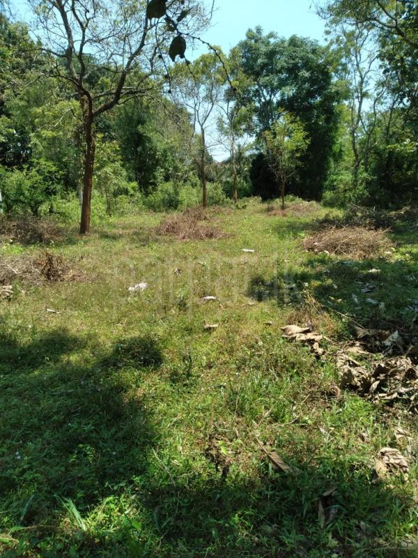 Residential Land for Sale in Kekirawa