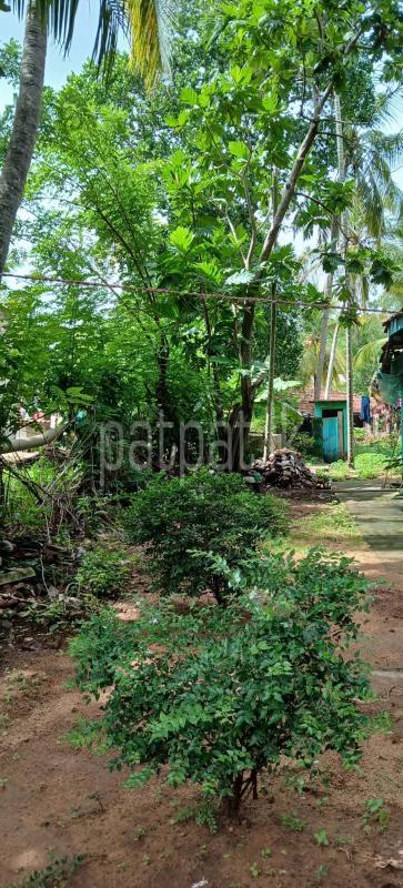 Residential Land for Sale in Kataragama