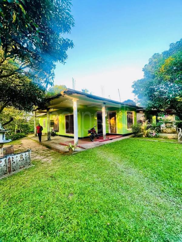 House for Sale in Gokaralla ads-image-1