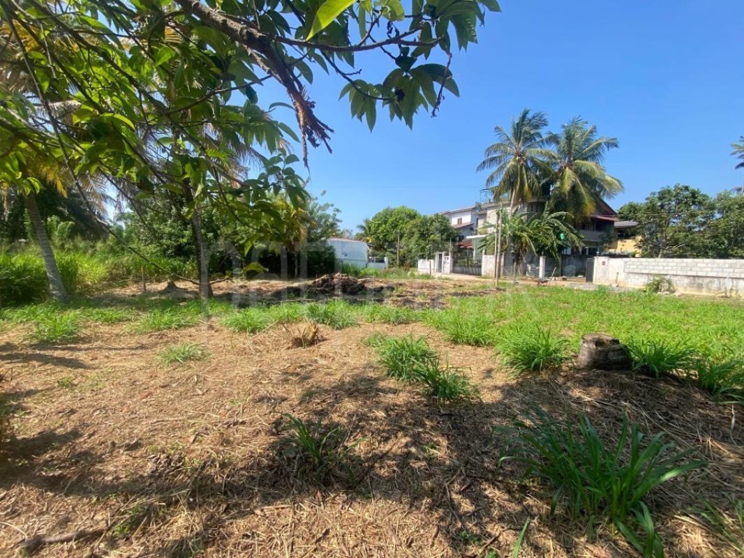 Residential Land for Sale in Rajagiriya