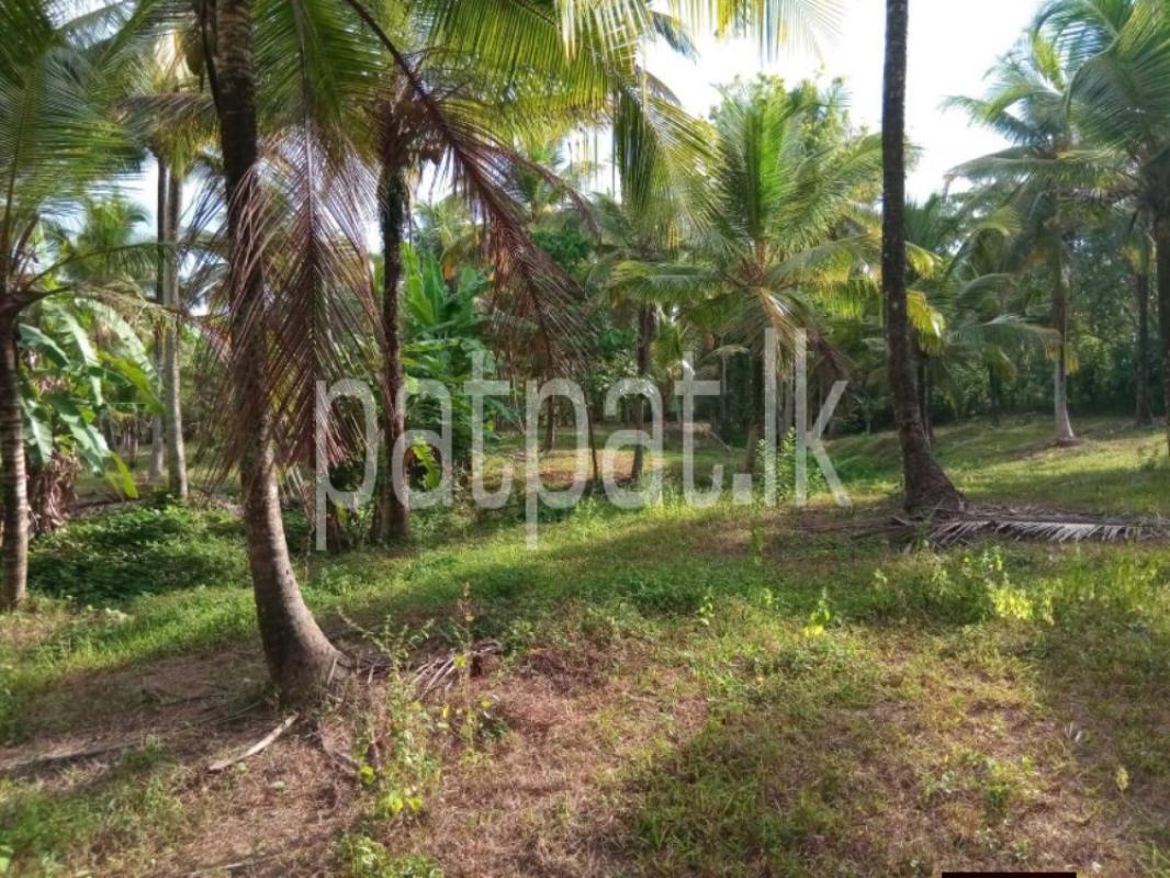 Commercial Land for Sale in Badalgama