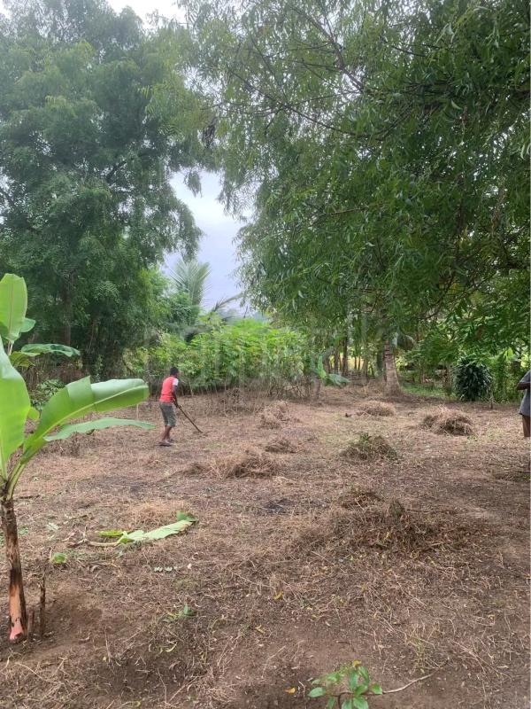 Agricultural Land for Sale in Gampola