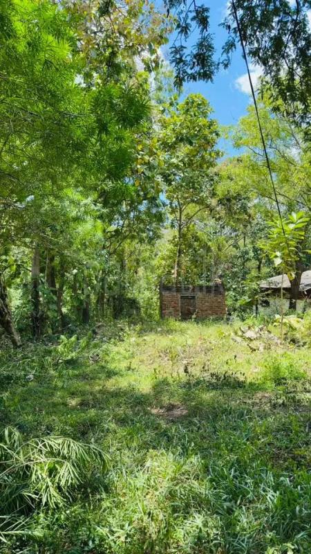 Residential Land for Sale in Badulla
