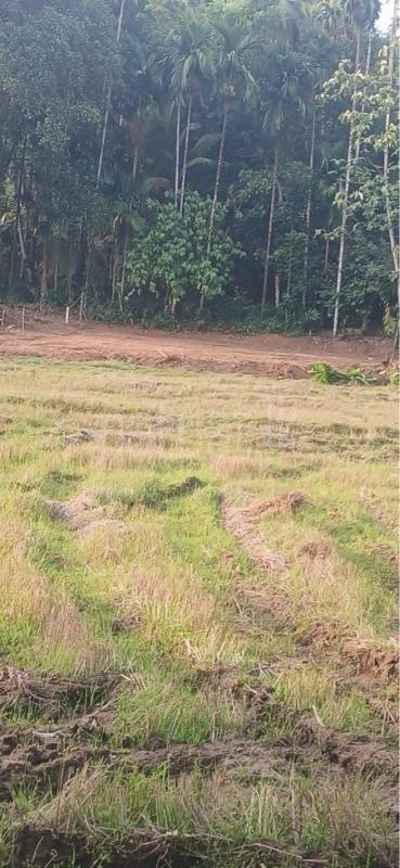 Residential Land for Sale in Matugama