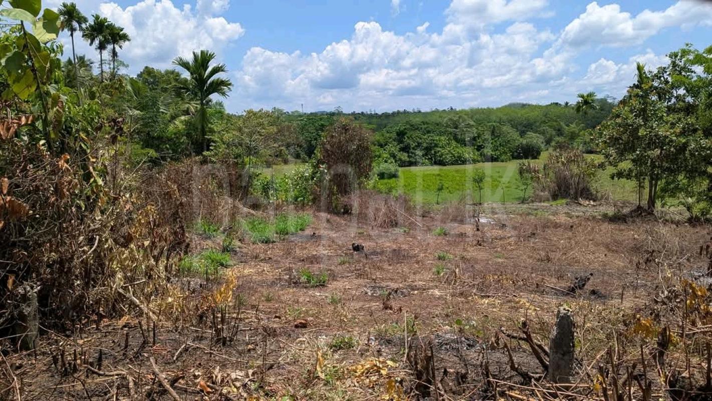 Residential Land for Sale in Padukka ads-image-1