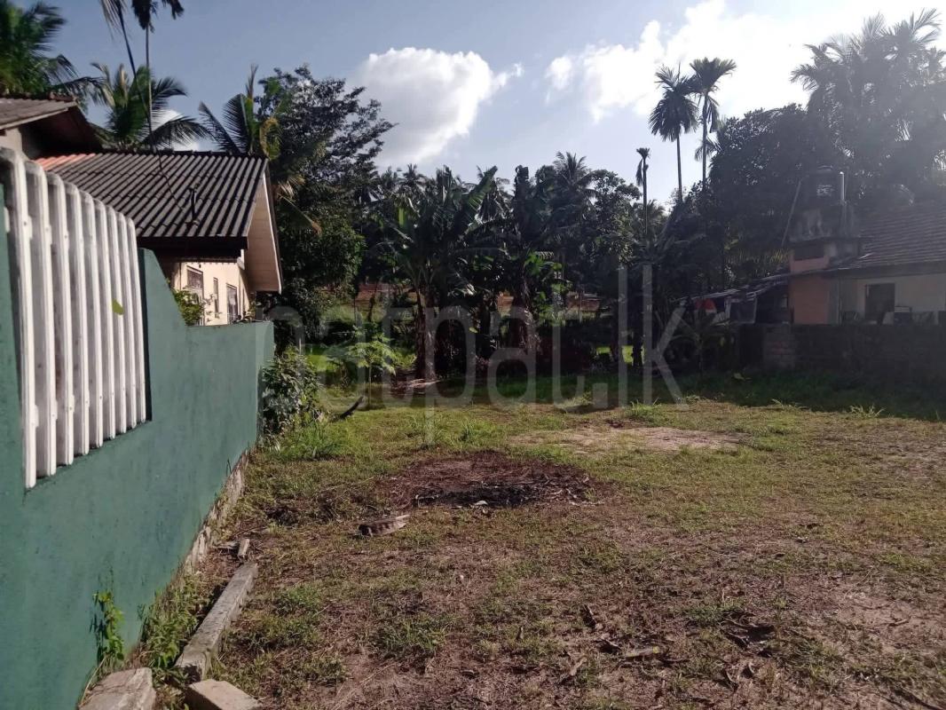 Residential Land for Sale in Kadawatha