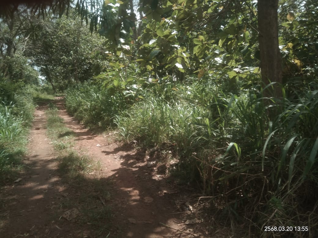 Agricultural Land for Sale in Lunugamwehera