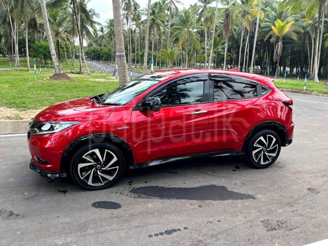 Advertisement image 3