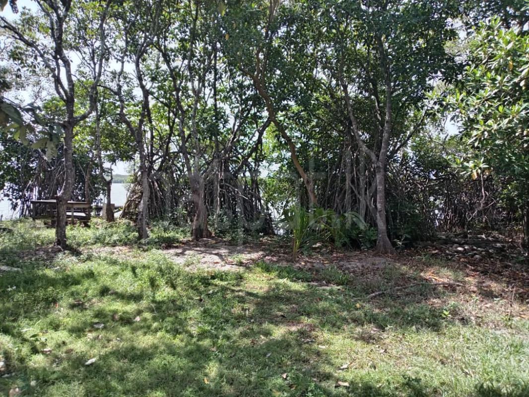 Residential Land for Sale in Hambantota ads-image-1