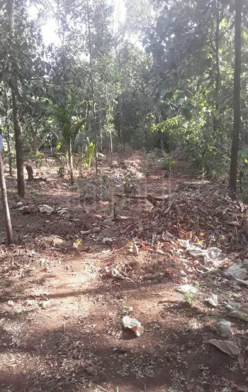Residential Land for Sale in Dambulla ads-image-1