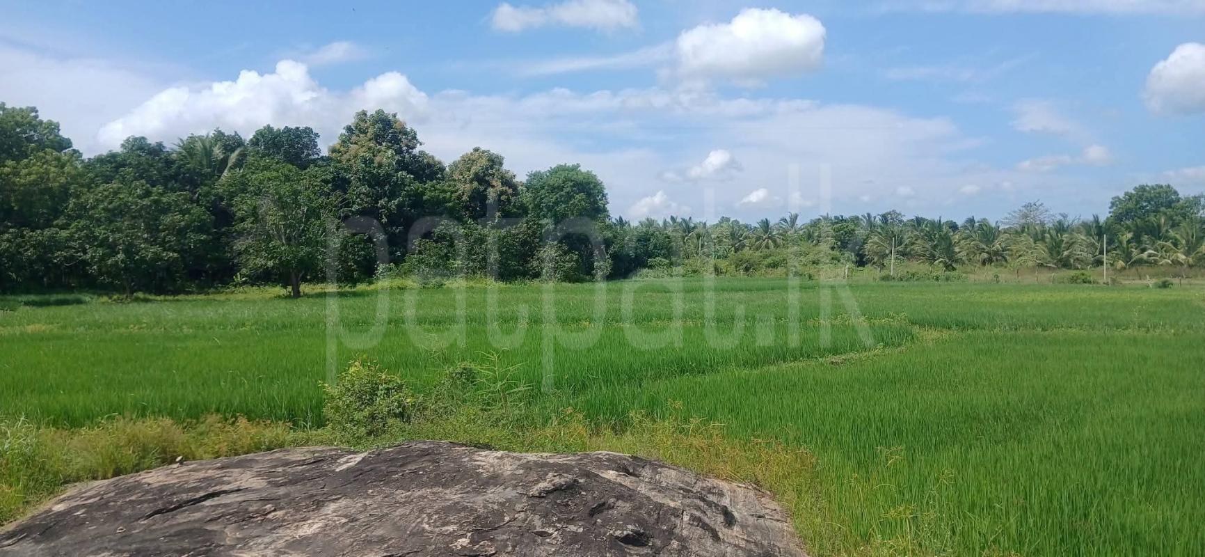 Residential Land for Sale in Kataragama