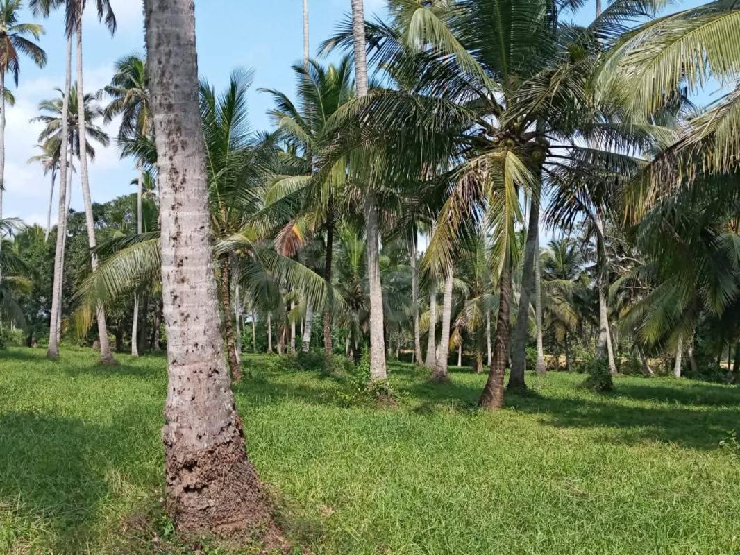 Agricultural Land for Sale in Kurunegala