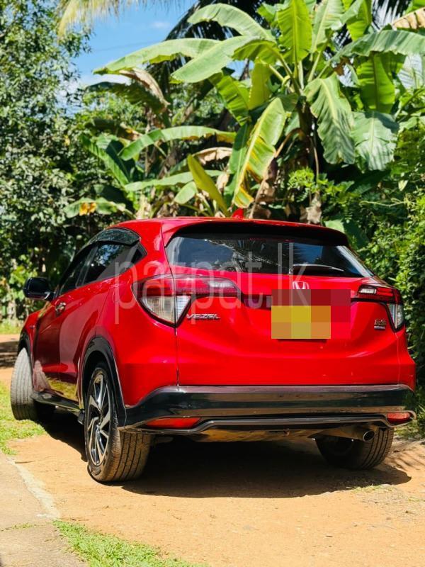 Advertisement image 2