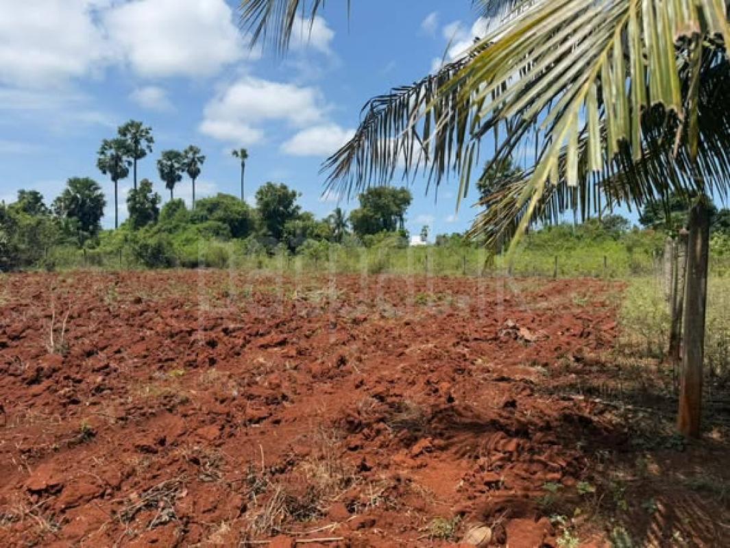 Agricultural Land for Sale in Jaffna ads-image-1