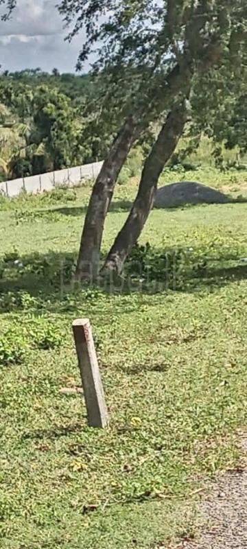 Agricultural Land for Sale in Ambalangoda