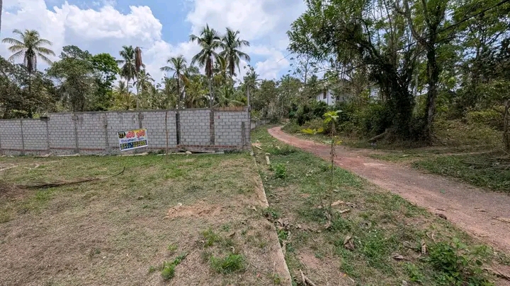 Commercial Land for Sale in Dunagaha