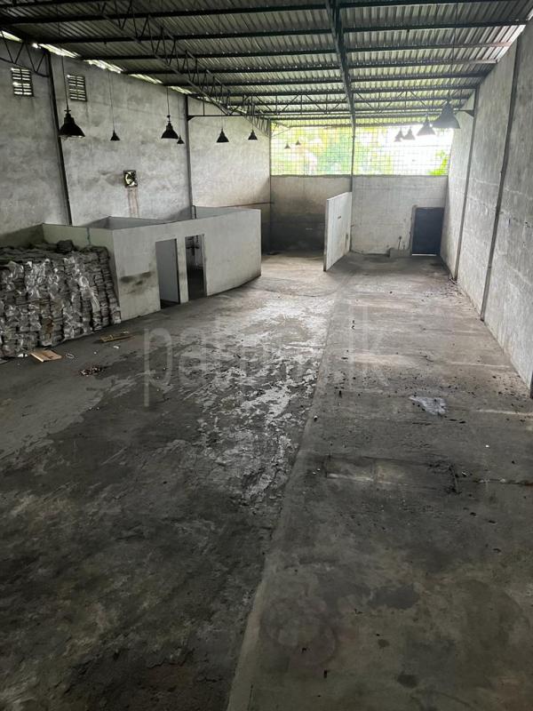 premium-listing-image