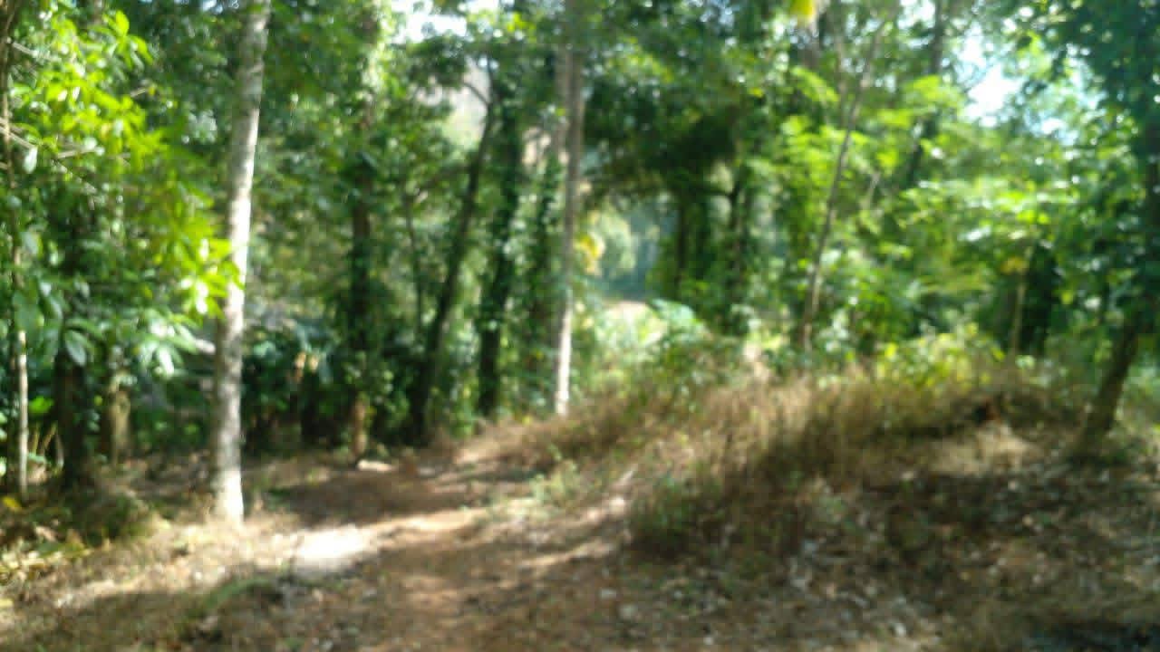 Residential Land for Sale in Balangoda