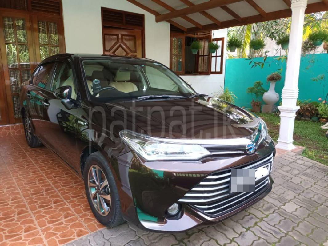 Advertisement image 2