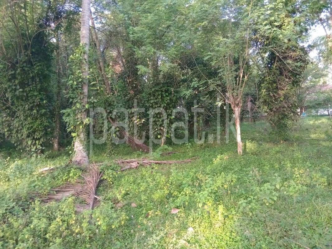 Agricultural Land for Sale in Badalgama