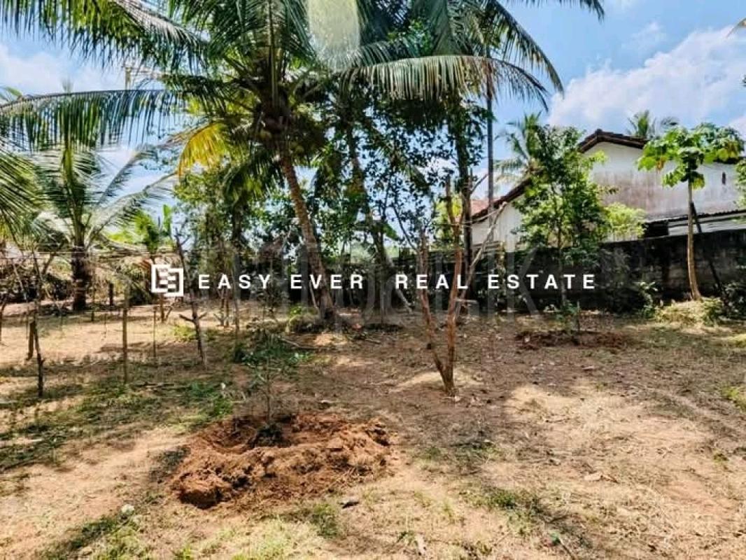 Commercial Land for Sale in Hanwella