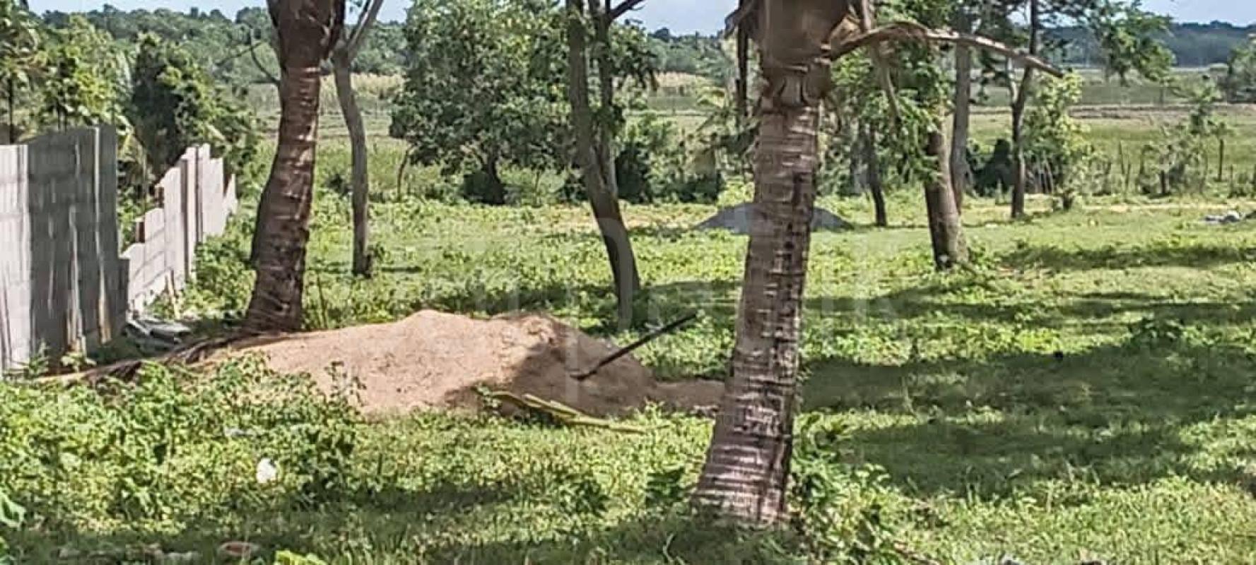 Agricultural Land for Sale in Ambalangoda