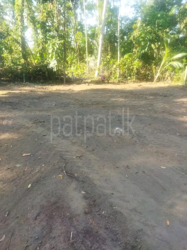Commercial Land for Sale in Kandana