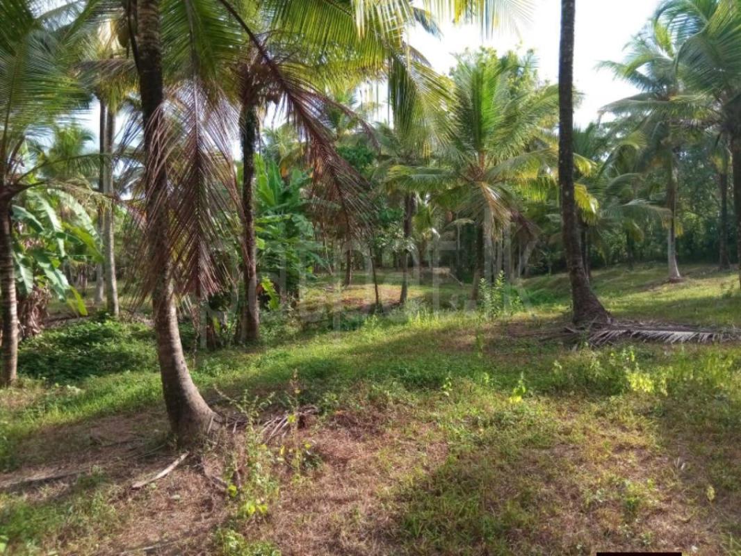 Residential Land for Sale in Mirigama
