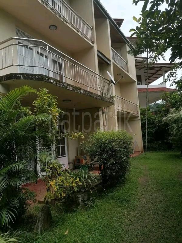 Advertisement image 6