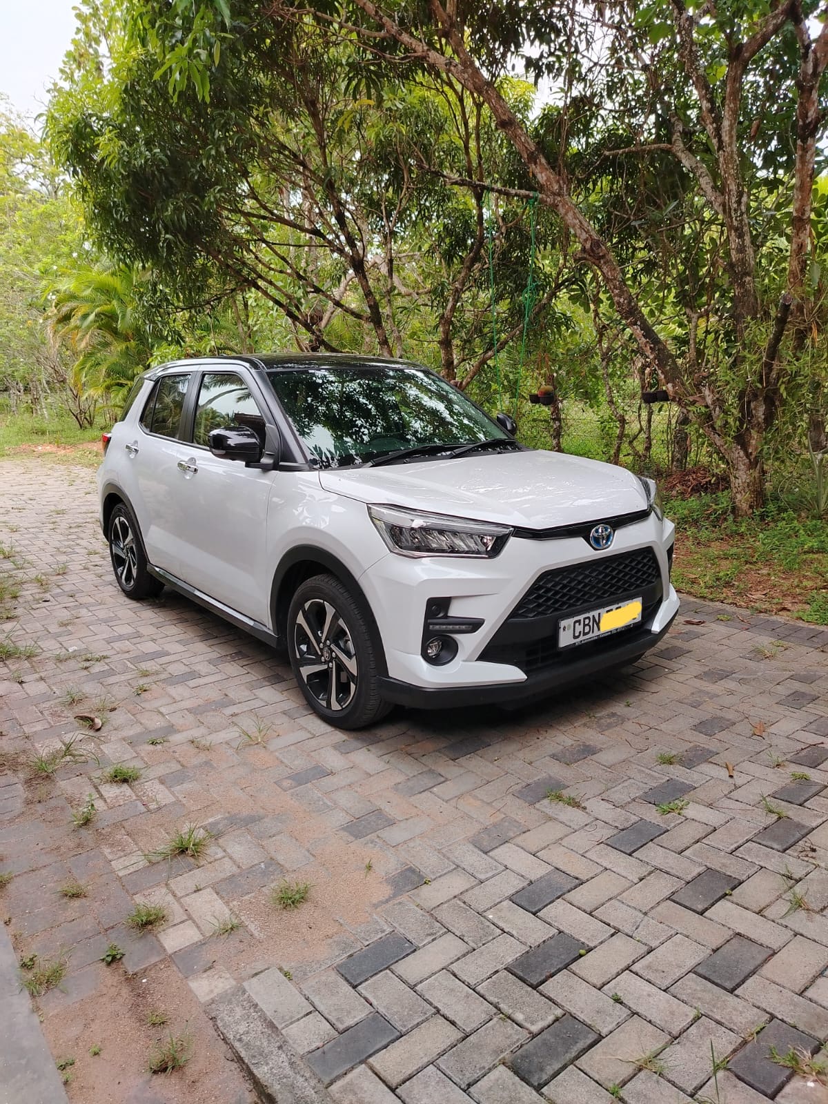 Toyota Raize 2025 - Used SUV sale in Sri Lanka - patpat.lk