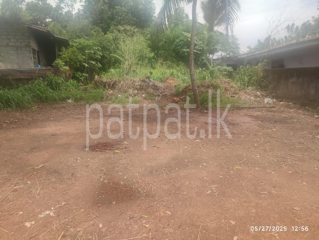 Advertisement image 1