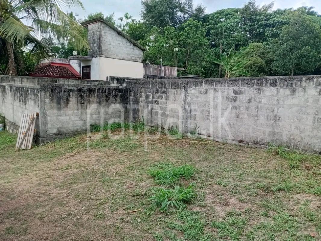 Commercial Land for Sale in Wattala
