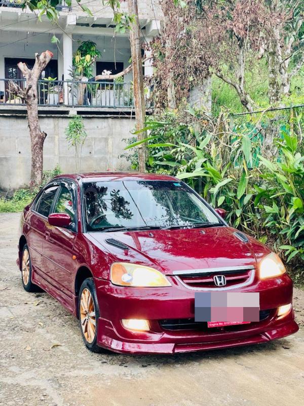 Advertisement image 2