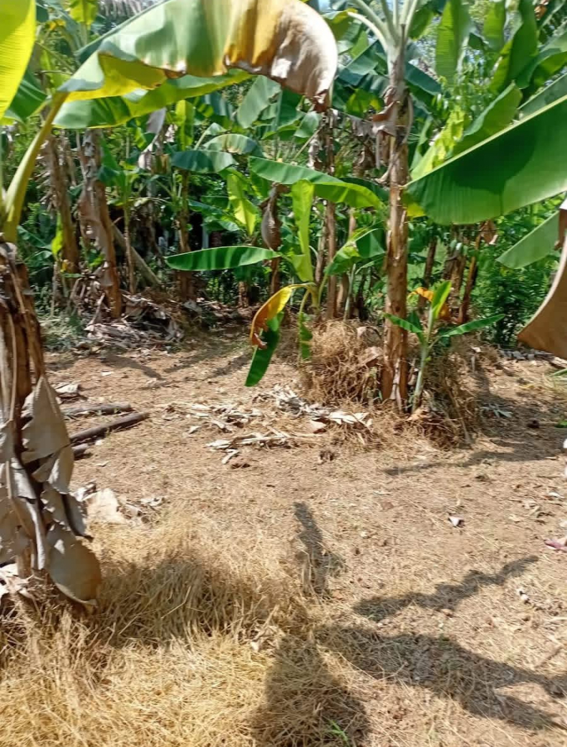 Residential Land for Sale in Kahathuduwa ads-image-1