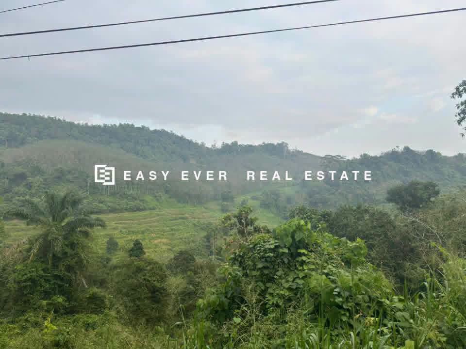 Residential Land for Sale in Nittambuwa