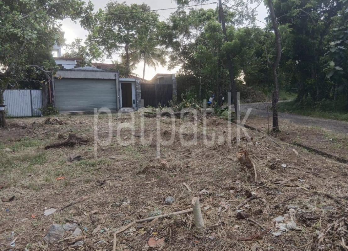 Commercial Land for Sale in Kundasale