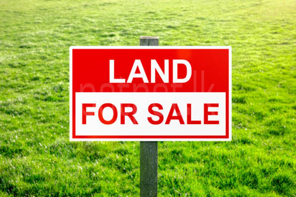 Residential Land for Sale in Rambukkana ads-image-1