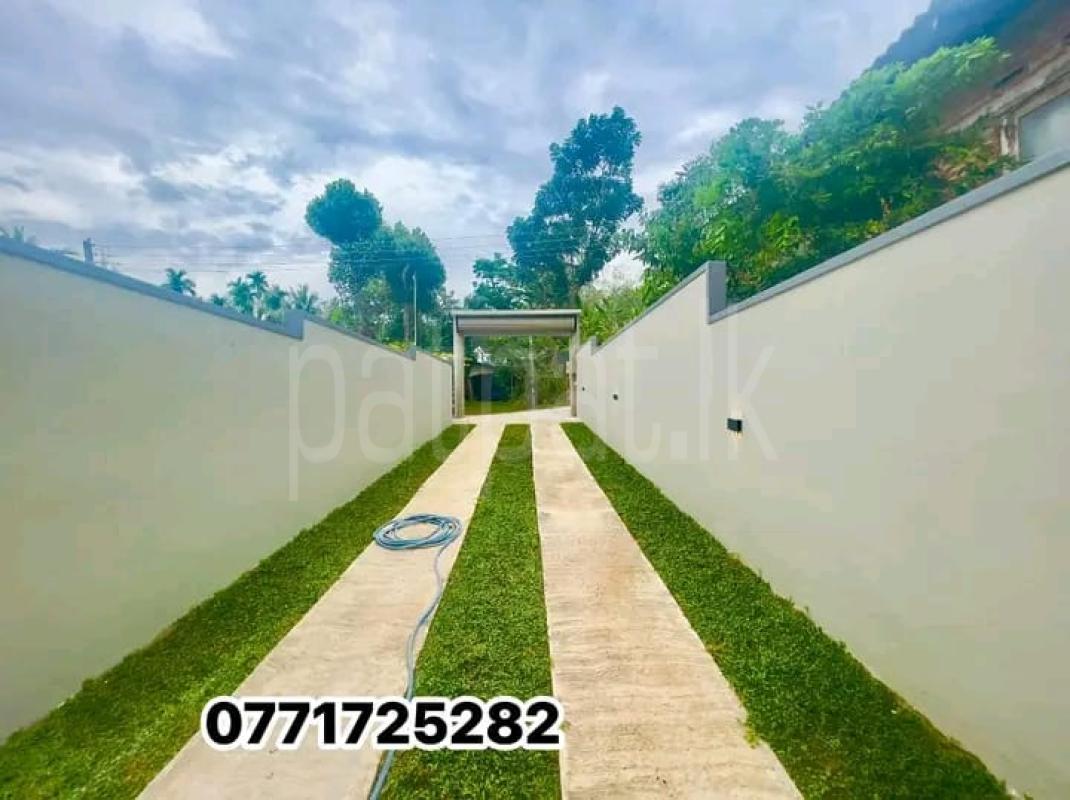 Advertisement image 6