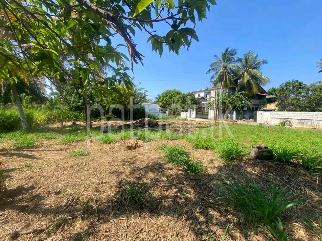 Residential Land for Sale in Kandana